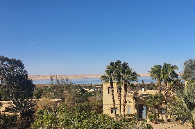 Private tour El Fayoum Oasis and Wadi Rayan waterfall from Cairo - Discovering Egypt’s Hidden Gem: Private Fayoum Oasis & Wadi Rayan Waterfalls Tour