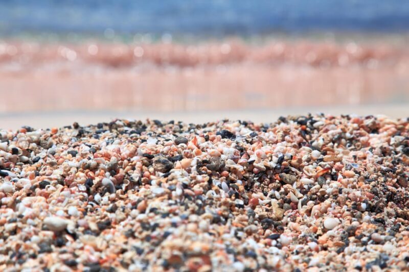 Private Tour Elafonissi Beach, Tsikoudia Museum, Agia Sofia - Why This Tour Offers Great Value