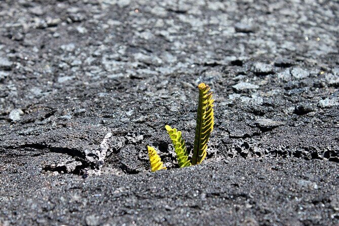 private-tour-experience-active-kilauea-volcano-hilo-rainbow-falls