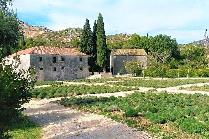 private-tour-experience-dubrovnik-best-of-serene-views-tales