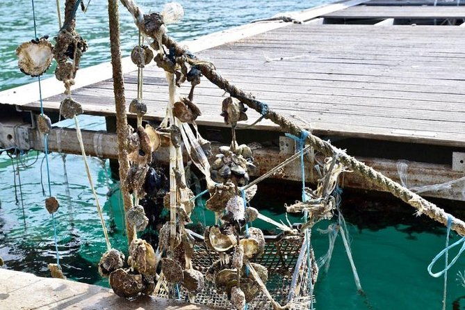 private-tour-experience-dubrovnik-north-west-countryside-riviera