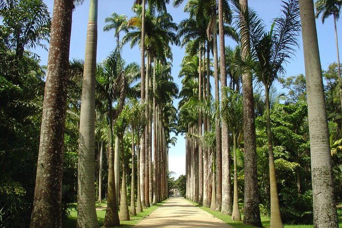 private-tour-explore-rio-creating-your-own-itinerary