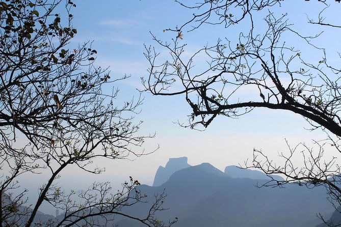 private-tour-explore-tijuca-forest-christ-the-reedemer-by-carioca-experience