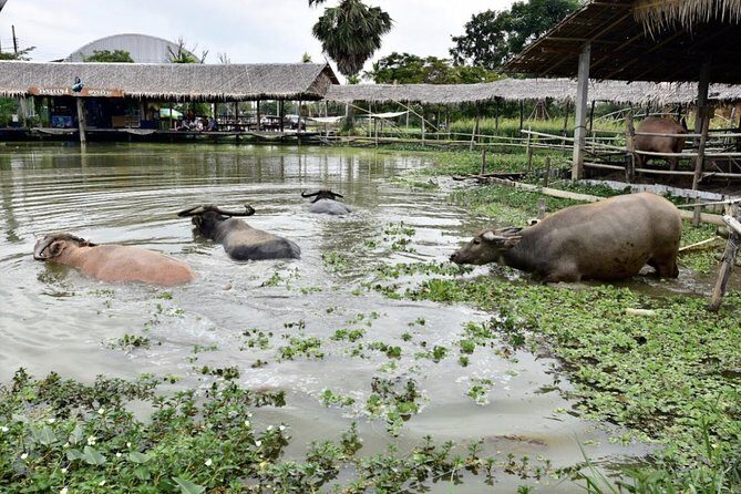 Private Tour: Fascinating Ayutthaya & Suphanburi Full Day Tour - Authenticity and Local Flavor