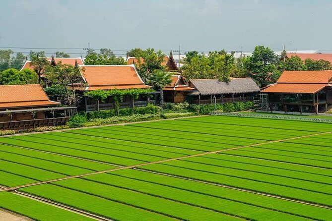 Private Tour: Fascinating Ayutthaya & Suphanburi Full Day Tour - Who Will Love This Tour?