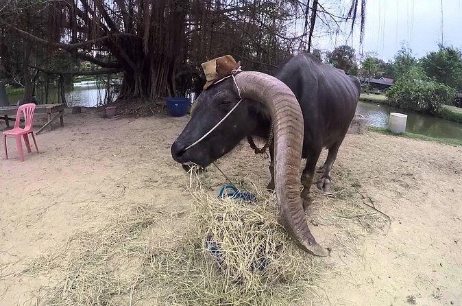 Private Tour: Fascinating Ayutthaya & Suphanburi Full Day Tour - Final Thoughts