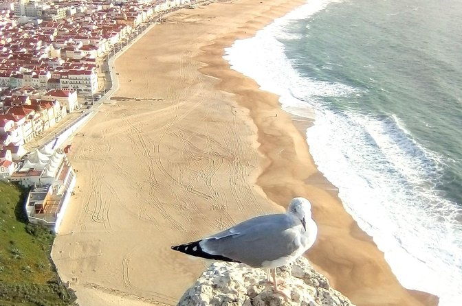 private-tour-for-1-to-4-people-fatima-batalha-nazare-and-obidos
