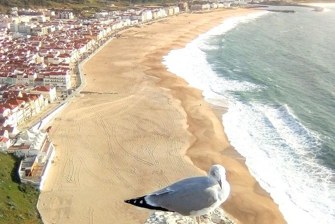 private-tour-for-1-to-8-people-fatima-batalha-nazare-and-obidos