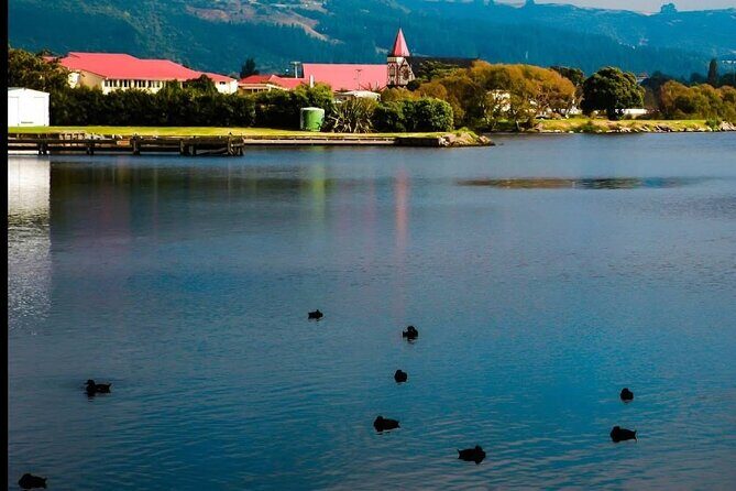Private Tour from Auckland Hobbiton Rotorua and Wai-O-Tapu - Analyzing the Value