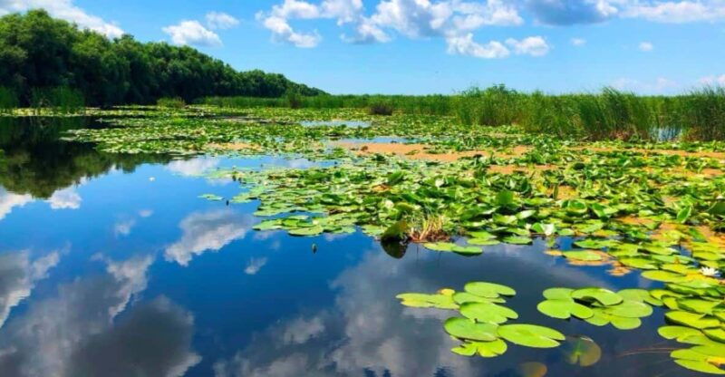 private-tour-from-bucharest-to-danube-delta-2-days-tour