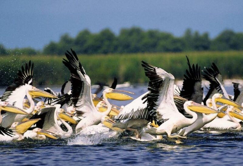 private-tour-from-bucharest-to-danube-delta-2-days-tour