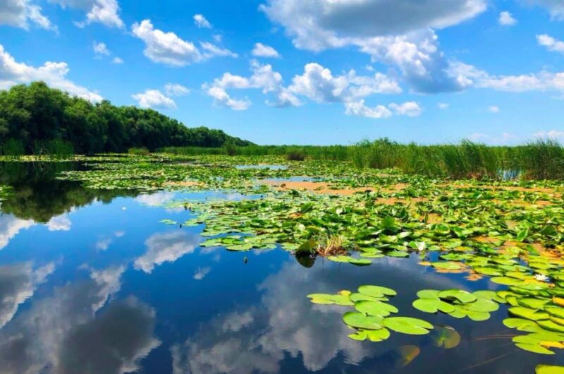 private-tour-from-bucharest-to-danube-delta-2-days-tour