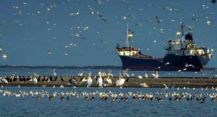 private-tour-from-bucharest-to-danube-delta-2-days-tour