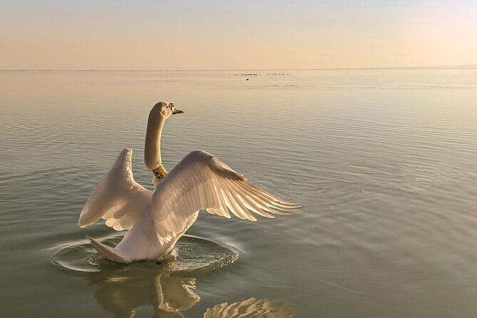 private-tour-from-budapest-to-a-top-hidden-treasure-region-of-europe-lake-balaton