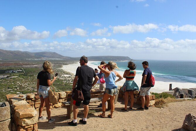Private Tour from Cape Town To Cape of Good Hope Penguins Plus Wine Tasting F/D - An In-Depth Look at the Itinerary