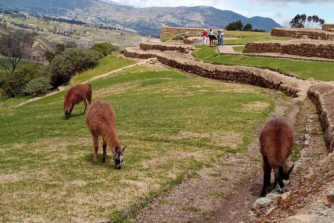 private-tour-from-cuenca-to-ingapirca-ruins-with-lunch
