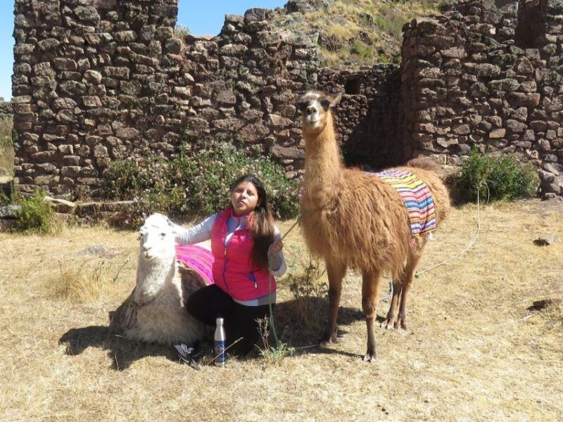 private-tour-from-cusco-llama-treking-healing-with-clay