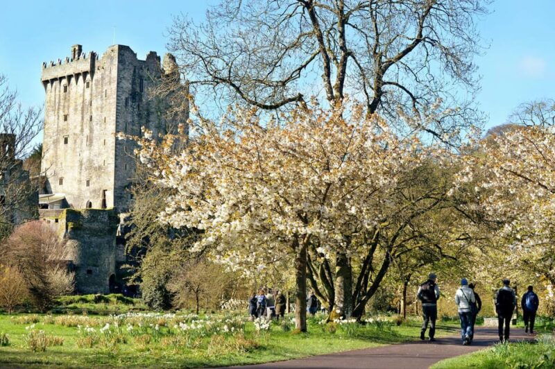 private-tour-from-dublin-to-blarney-castle-rock-of-cashel