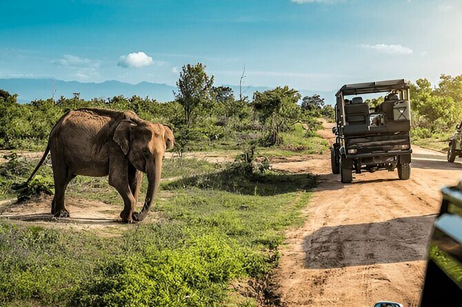Private Tour from Ella to Mirissa with Udawalawe Safari - Key Points