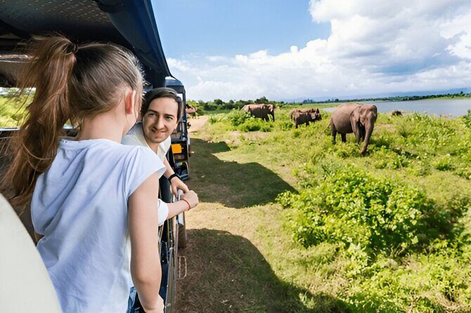 Private Tour from Ella to Mirissa with Udawalawe Safari - The Sum Up