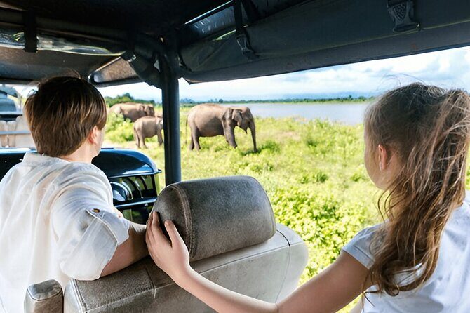 Private Tour from Ella to Mirissa with Udawalawe Safari - FAQ