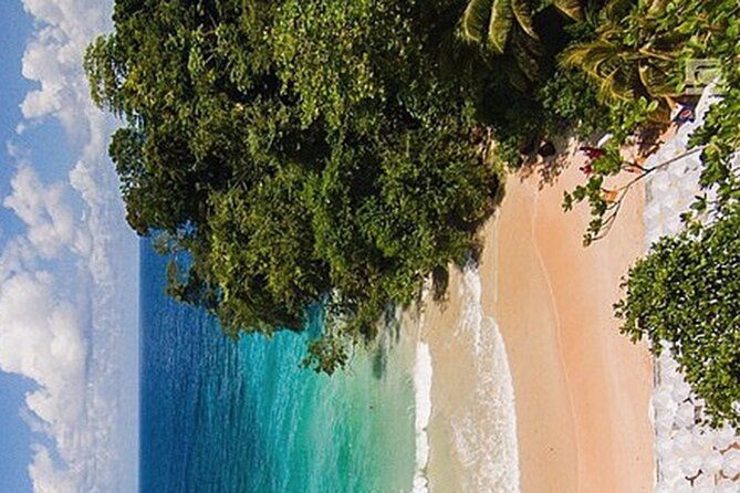 private-tour-from-falmouth-to-ocho-rios-blue-hole-and-beach
