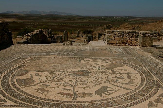 Private Tour from Fez: Meknès and Roman Ruins of Volubilis - FAQ