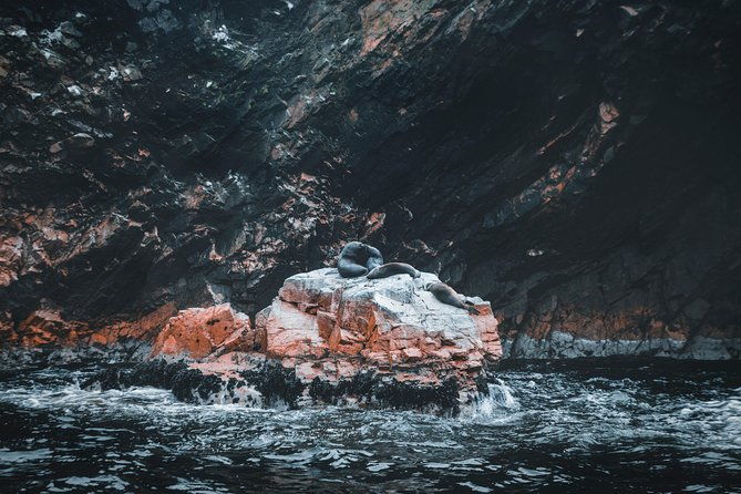 private-tour-from-lima-to-oasis-and-ballestas-islandmake-your-own-schedule