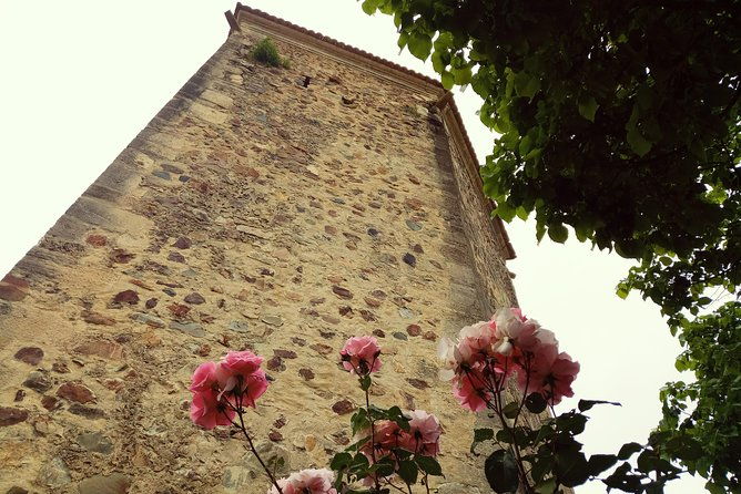 private-tour-from-lisbon-knights-templar-tomar-unesco-site-9h