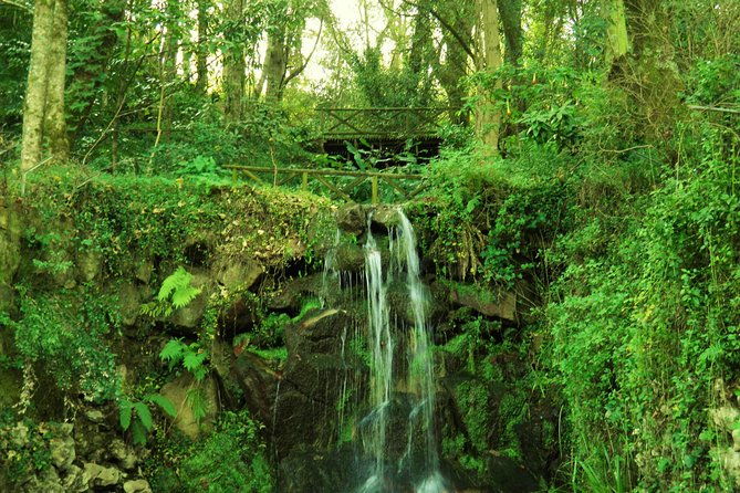 private-tour-from-lisbon-sintra-mystic-trail-in-five-hours