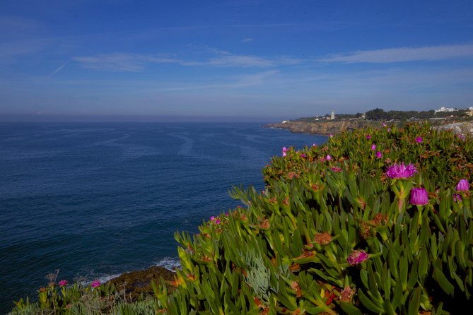 private-tour-from-lisbon-sintra-mystic-trail-in-five-hours