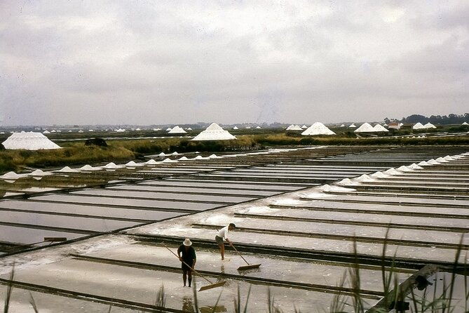 private-tour-from-lisbon-to-porto-visit-to-obidos-fatima-coimbra-aveiro