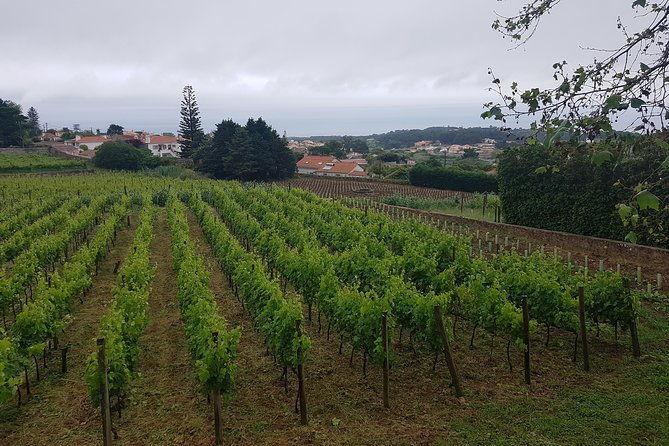 private-tour-from-lisbon-to-sintra-cabo-da-roca-cascais-and-estoril