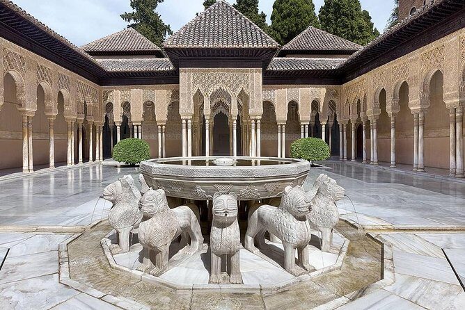 Private tour from Malaga to the Alhambra Palace and Granada for up to 8 persons - Garden and Palace Highlights