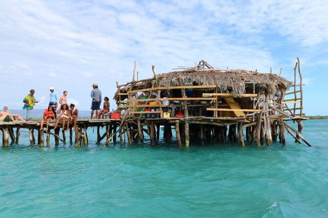 private-tour-from-negril-to-ys-falls-and-pelican-bar