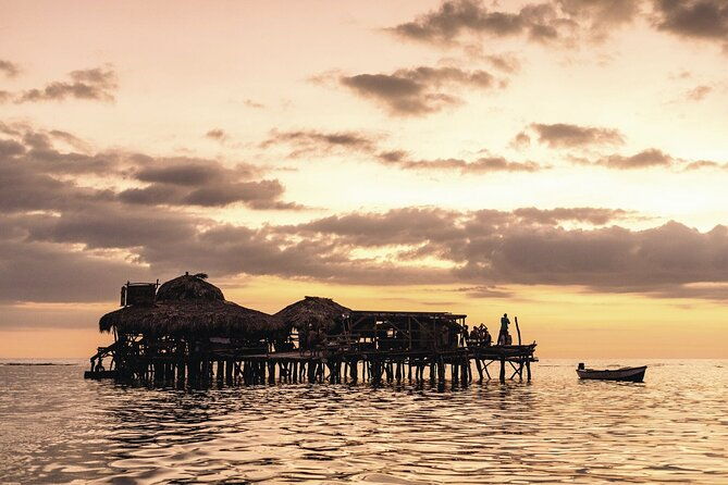 private-tour-from-negril-to-ys-falls-and-pelican-bar
