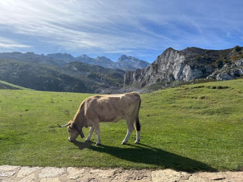 private-tour-from-oviedo-to-covadonga-and-europe-peaks-lakes