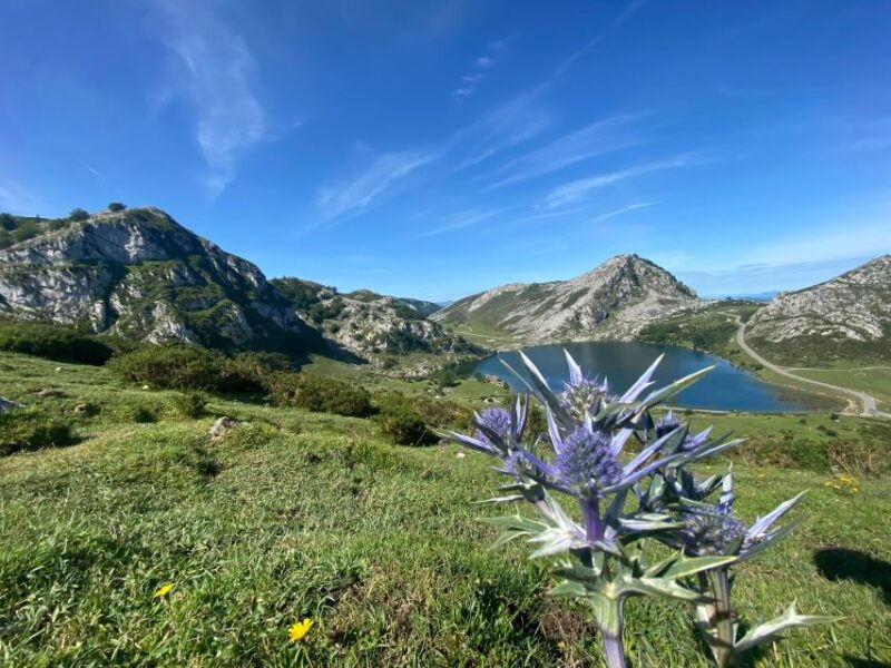 private-tour-from-oviedo-to-covadonga-and-europe-peaks-lakes