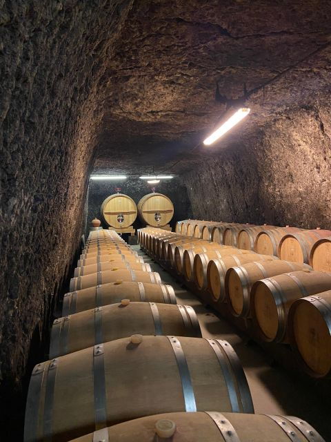 private-tour-from-paris-to-loire-castles-michelin-lunch