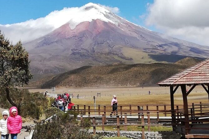 private-tour-from-quito-to-cotopaxi-volcano-rose-plantation