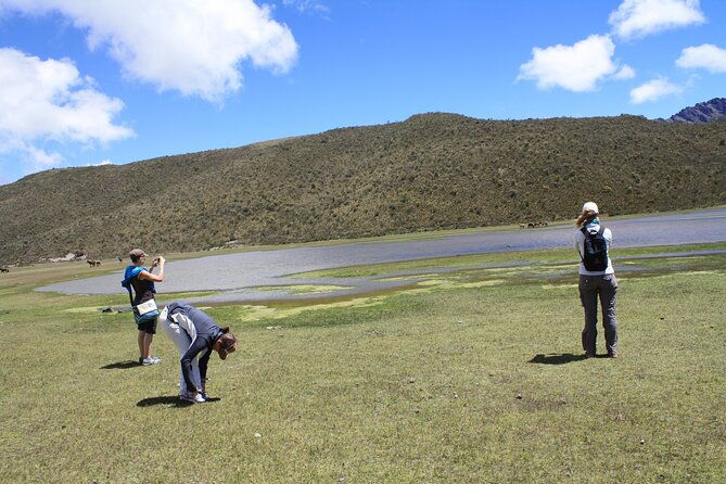 private-tour-from-quito-to-cotopaxi-volcano-rose-plantation