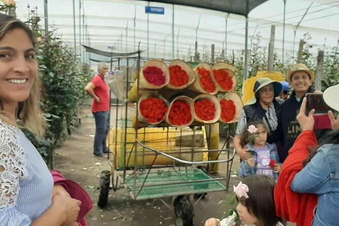 private-tour-from-quito-to-cotopaxi-volcano-rose-plantation