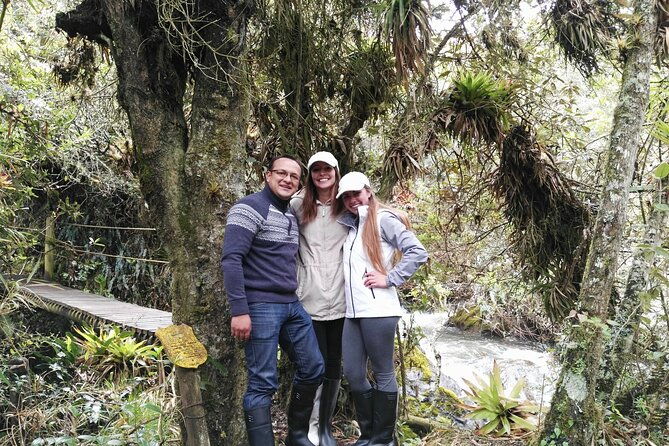 private-tour-from-quito-to-papallacta-hot-springs-ticket-included
