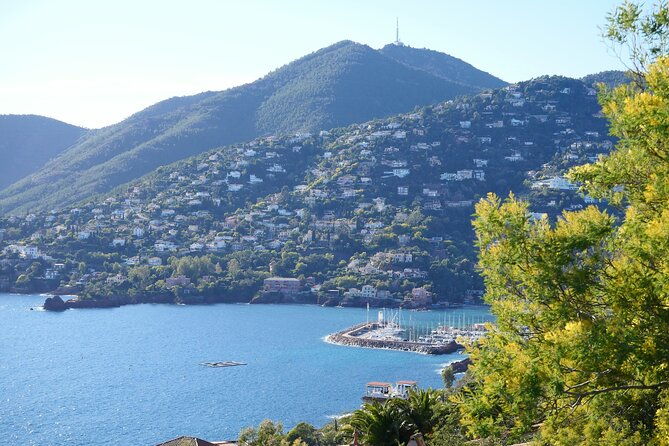 private-tour-from-saint-tropez-to-bormes-les-mimosas