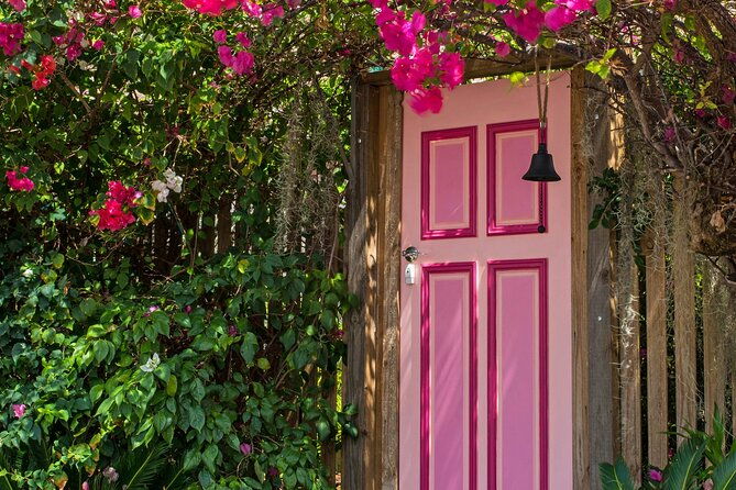 private-tour-from-saint-tropez-to-bormes-les-mimosas