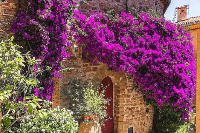 private-tour-from-saint-tropez-to-bormes-les-mimosas