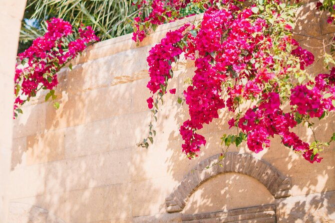 private-tour-from-saint-tropez-to-bormes-les-mimosas