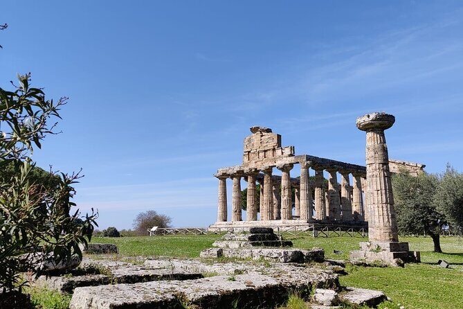 Private Tour from Sorrento/Positano to Paestum and Mozzarella tour - An In-Depth Look at the Tour Itinerary