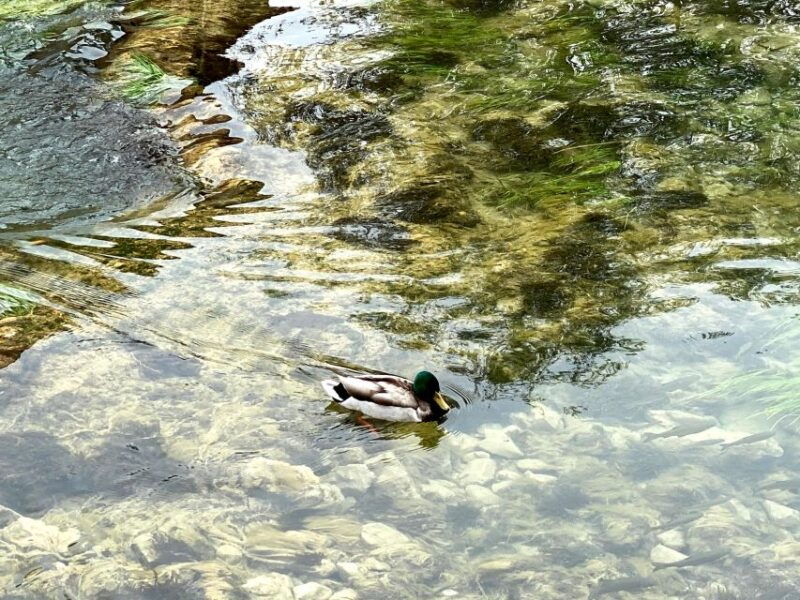 private-tour-from-split-to-krka-and-return