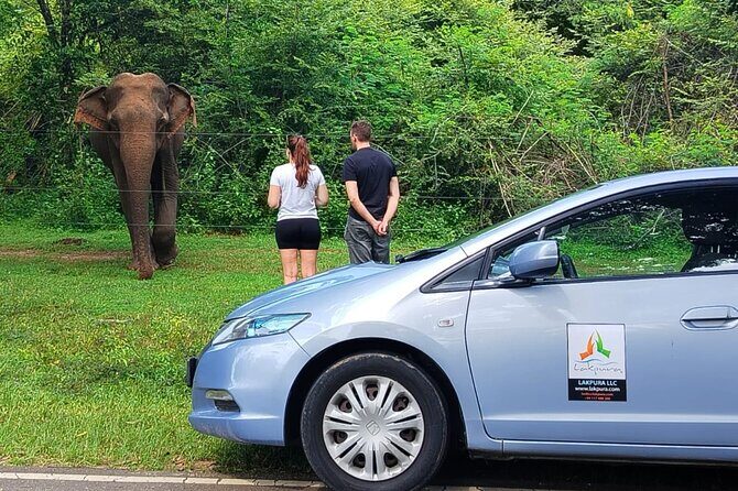 Private Tour from Tangalle to Ella with Udawalawe Safari - Final Thoughts: Is This Tour Right for You?